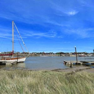 Coastal marsh walk